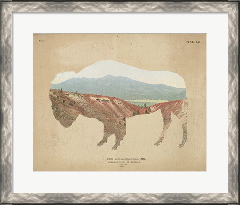 Framed American Southwest Buffalo Distressed Print