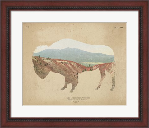 Framed American Southwest Buffalo Distressed Print