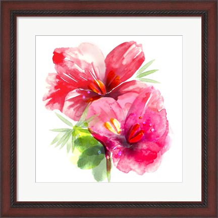 Framed Floral Beauty II Print