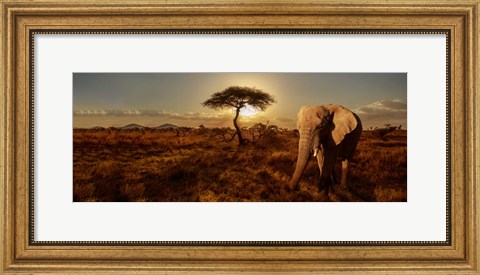Framed Elephant and Tree Print