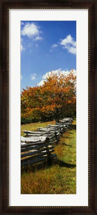 Framed Fence in a Park, Blue Ridge Parkway, Virginia Print