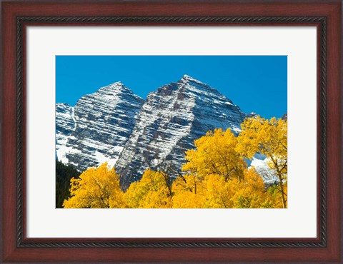Framed Trees with Mountain Range in the Background, Maroon Creek Valley, Aspen, Colorado Print