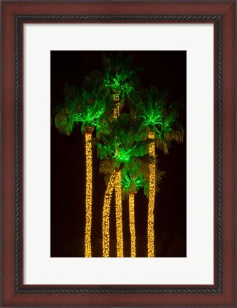 Framed Illuminated Palm Trees at Dana Point Harbor, California Print