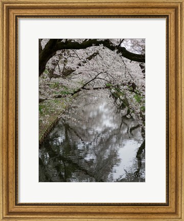 Framed Cherry Trees Reflected in Moat of Hirosaki Park, Japan Print