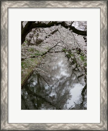 Framed Cherry Trees Reflected in Moat of Hirosaki Park, Japan Print
