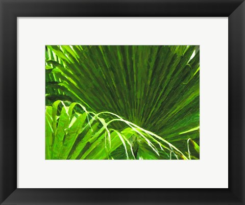 Framed Painted Ferns II Print