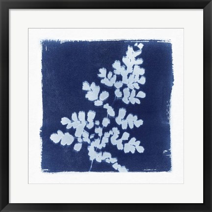 Framed Flora Cyanotype I Print