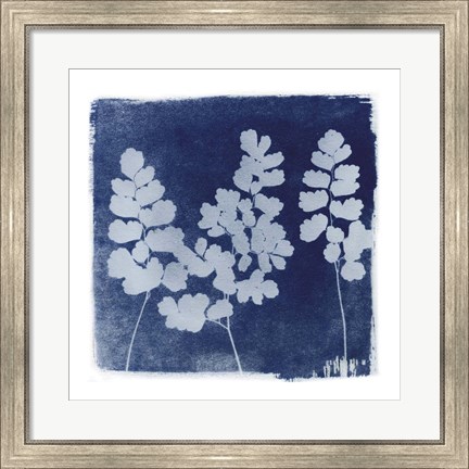 Framed Flora Cyanotype II Print
