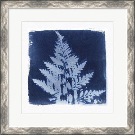 Framed Flora Cyanotype II Print