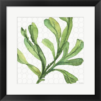 Framed Mixed Greens XIX Print