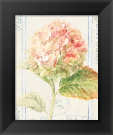 Framed Floursack Florals VI Print