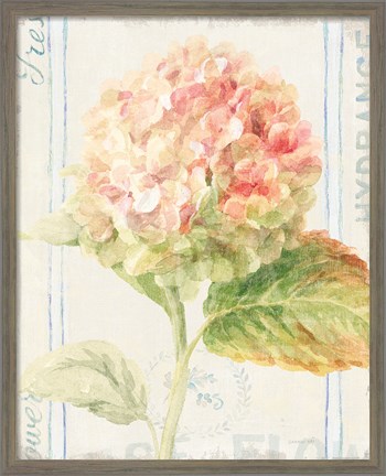 Framed Floursack Florals VI Print