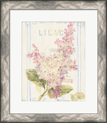 Framed Floursack Florals V Print