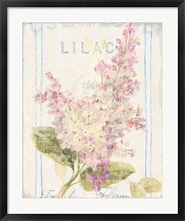 Framed Floursack Florals V Print