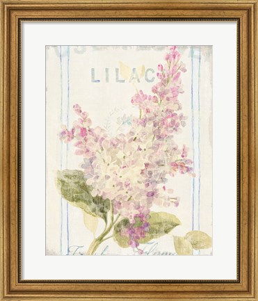 Framed Floursack Florals V Print