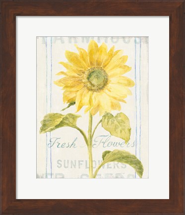 Framed Floursack Florals II Print