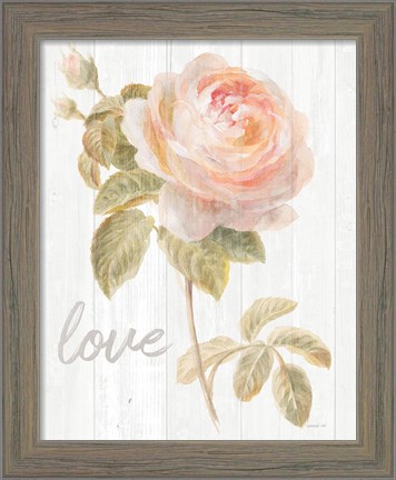 Framed Garden Rose on Wood Love Print