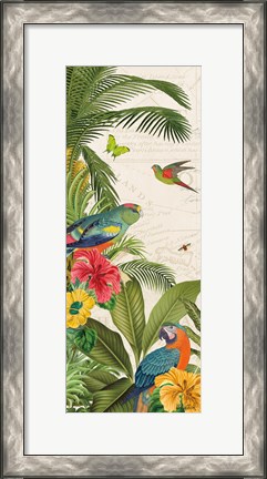 Framed Parrot Paradise VI Print