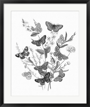 Framed Butterfly Bouquet I Linen BW I Print