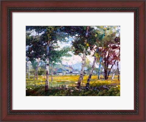 Framed In the Shade Print