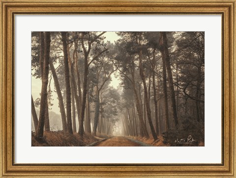 Framed Path of Pines Print