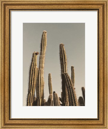 Framed Desert Cacti Print