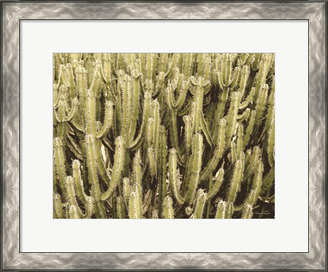 Framed Full of Cactus Print
