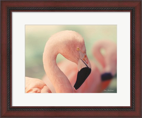 Framed Pink Flamingo Print