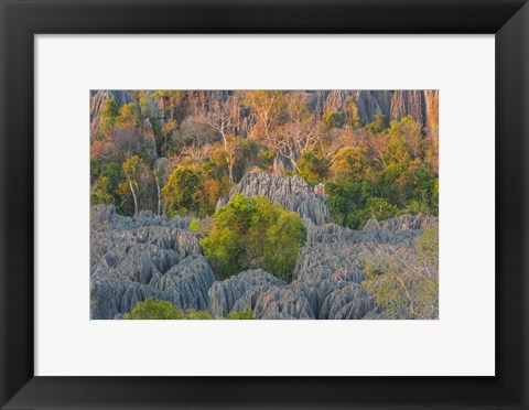 Framed Limestone Formations, Tsingy de Bemaraha Strict Nature Reserve, Madagascar Print