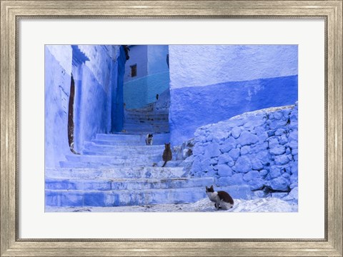 Framed Cats in an Alley, Chefchaouen, Morocco Print