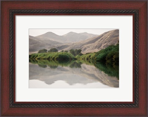 Framed Greenery Along the Banks of the Kunene River, Namibia Print
