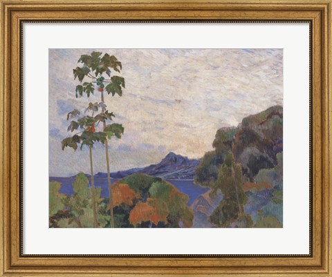 Framed Martinique Landscape (detail) Print