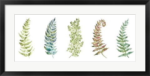 Framed Botanical Ferns Panel Print