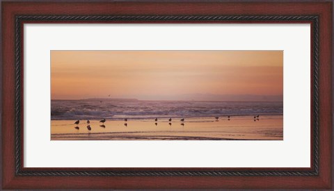 Framed Kalaloch Birds V Print