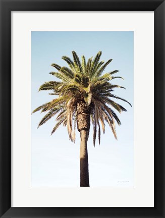 Framed Endless Summer IV Print