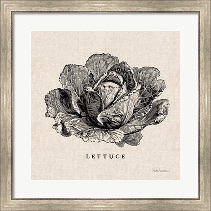 Framed Burlap Vegetable BW Sketch Lettuce Print