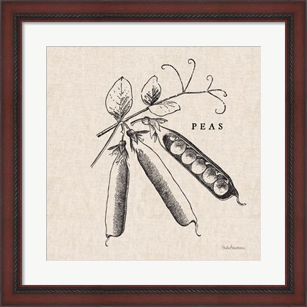 Framed Burlap Vegetable BW Sketch Peas Print
