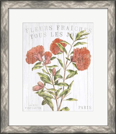 Framed Fleuriste Paris III Print