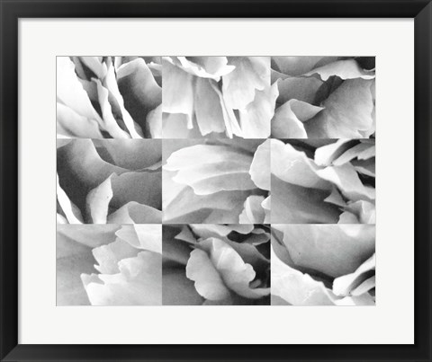 Framed Dreamy Peony Collage Print