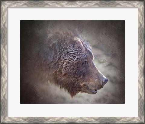 Framed Grizzly Bear Boar Print