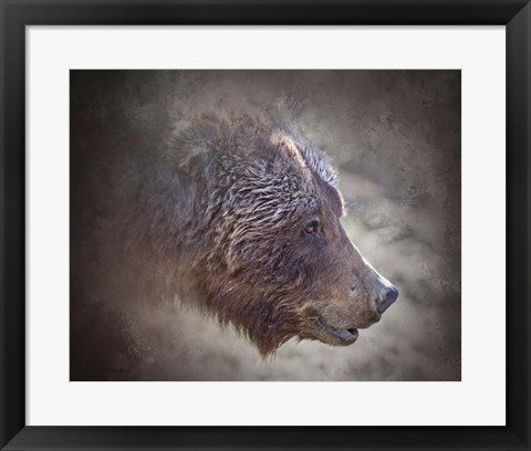 Framed Grizzly Bear Boar Print