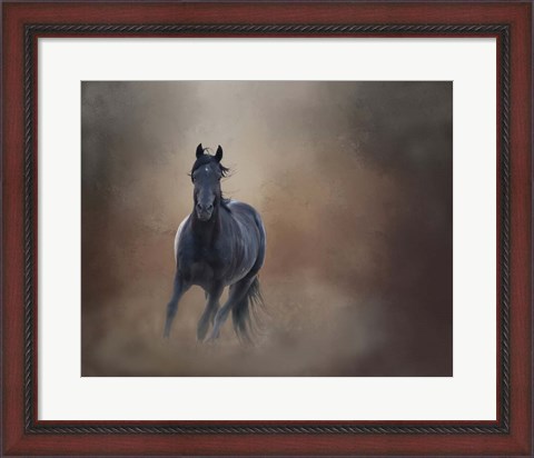 Framed Knighthawk - S Steens Wild Stallion Print