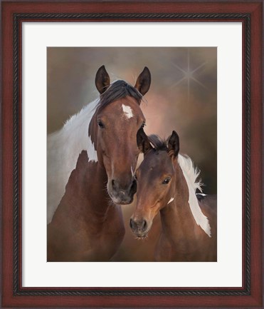 Framed S&#39;more &amp; Chippewa - S Steens Mustangs Print