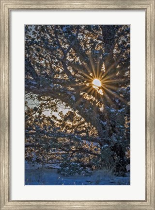 Framed New Years Steens Mountain Sunrise Print