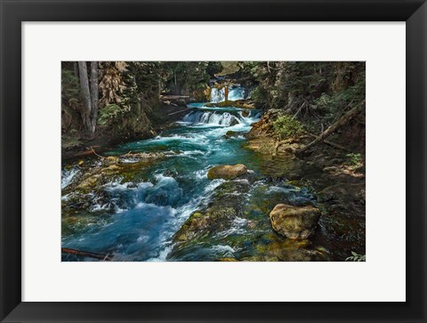 Framed McKensie River Print