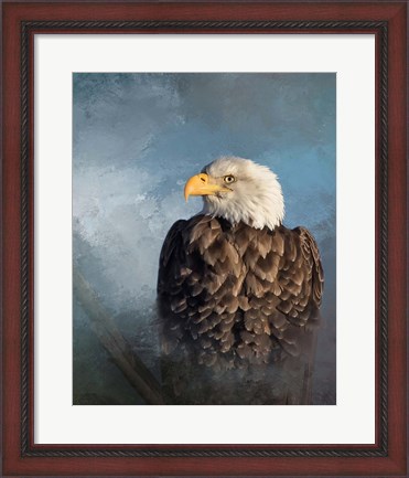 Framed Bald Eagle Print