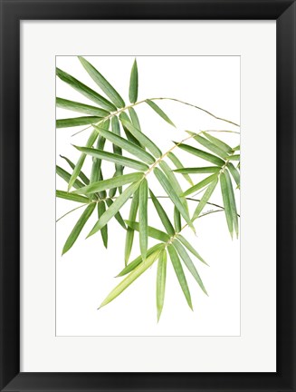 Framed Bamboo Bouquet Print