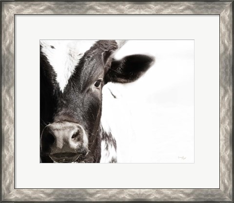 Framed Cow VII Print