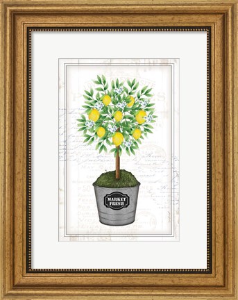 Framed Lemon Topiary Print
