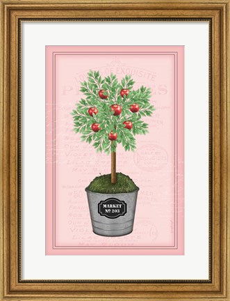 Framed Apple Topiary - Pink Print